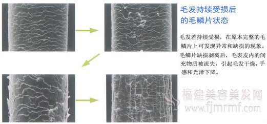 &#20159;&#24503;&#20307;&#32946;&#40;&#20013;&#22269;&#41;&#20307;&#32946;&#23448;&#26041;&#32593;&#31449;