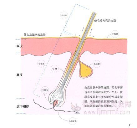 &#20159;&#24503;&#20307;&#32946;&#40;&#20013;&#22269;&#41;&#20307;&#32946;&#23448;&#26041;&#32593;&#31449;